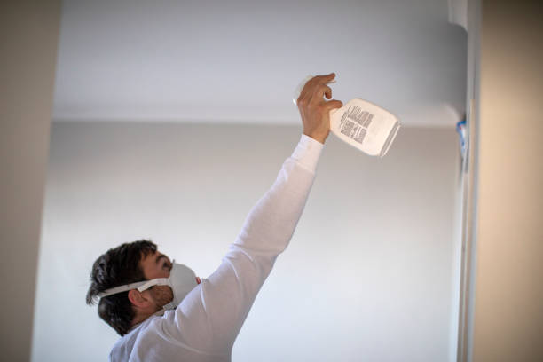 Best Basement Mold Remediation in West Chicago, IL