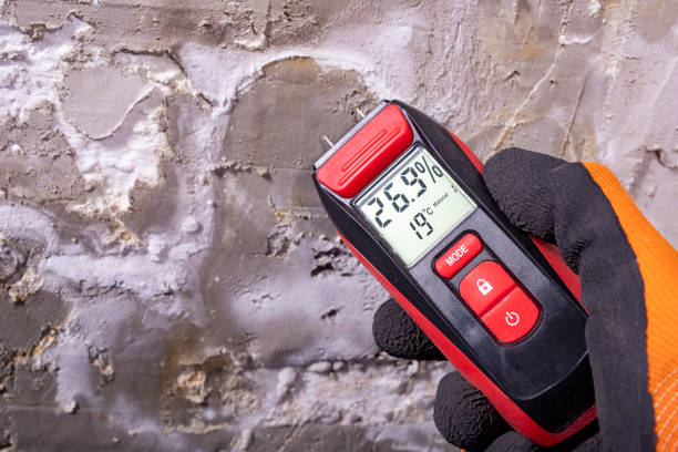 Best Industrial Mold Remediation in West Chicago, IL