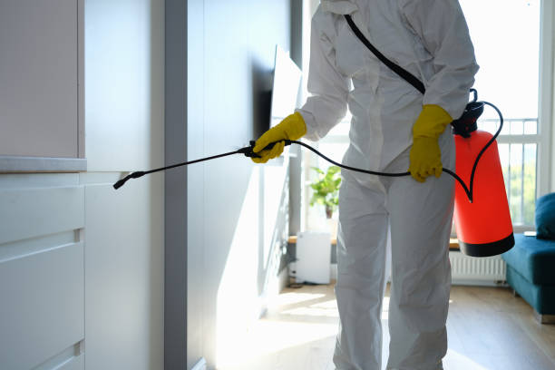 Best HVAC Mold Remediation in West Chicago, IL