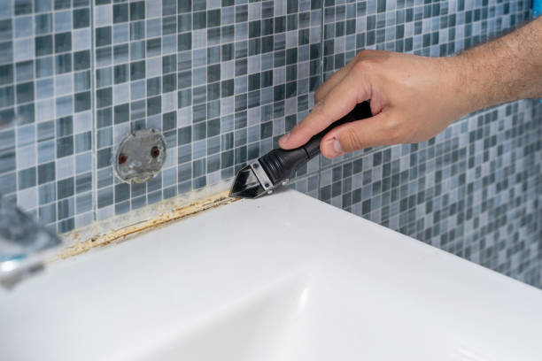 Best Mold Remediation for Specific Building Types in West Chicago, IL